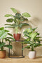 Mica Decorations Tusca Bloempot - 28x28x25 cm - Keramiek - Bruin