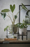 Mica Decorations Tusca Bloempot - H14 x Ø14,5 cm - Groen