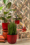 Mica Decorations Tusca Bloempot - H16 x Ø17 cm - Donkerrood