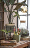 Mica Decorations Tusca Bloempot - H16 x Ø17 cm - Groen