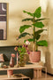 Mica Decorations Tusca Bloempot - H28,5 x Ø31 cm - Lichtroze