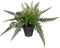 Mica Decorations Varen Kunstplant in Bloempot Stan - H38 x Ø50 cm - Groen