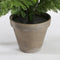 Mica Decorations Varen Kunstplant in Bloempot Stan - H38 x Ø50 cm - Groen