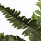 Mica Decorations Varen Kunstplant in Bloempot Stan - H40 x Ø70 cm - Groen