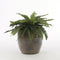 Mica Decorations Varen Kunstplant in Bloempot Stan - H40 x Ø70 cm - Groen