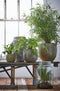 Mica Decorations Vienne Vaas - H30 x Ø18 cm - Gerecycled Glas - Transparant