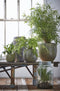 Mica Decorations Vienne Vaas - H40 x Ø23 cm - Gerecycled Glas - Transparant
