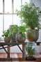 Mica Decorations Vienne Vaas - H44 x Ø25 cm - Gerecycled Glas - Transparant