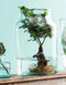 Mica Decorations Vienne Vaas - H44 x Ø25 cm - Gerecycled Glas - Transparant