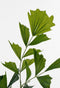 Mica Decorations Vissenstaart Palm Kunstplant in Pot - H150 x Ø100 cm - Groen