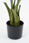Mica Decorations Vissenstaart Palm Kunstplant in Pot - H150 x Ø100 cm - Groen