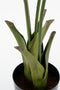 Mica Decorations Vissenstaart Palm Kunstplant in Pot - H150 x Ø100 cm - Groen
