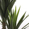 Mica Decorations Yucca Kunstplant - H120 x Ø60 cm - Groen