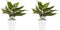 Decorum Duo 2 x Aglaonema Maria met Anna white – ↨ 25cm – ⌀ 12cm