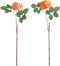 J-Line bloem Roos Wild 2 Bladeren - kunststof - oranje/roze - 2 stuks