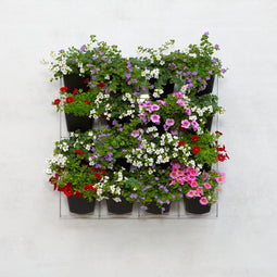 Mijn Verticale Tuin - Voor Buiten - Compleet Startpakket (Medium) 60cm x 60cm - 16 Bakjes - Plantenbak aan de muur - Groene wand - Groene muur - Verticale Moestuin - Balkonbak - Plantenmuur - Muurtuin