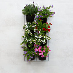 Mijn Verticale Tuin - Voor Buiten - Compleet Startpakket (Small) 30cm x 60cm - 8 Bakjes - Plantenbak aan de muur - Groene wand - Groene muur - Verticale Moestuin - Balkonbak - Plantenmuur - Muurtuin