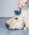 Mikki Doodle Grooming Kit - Hondenvachtborstel - Blauw Grijs