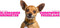 Milbemax Ontworming Tabletten Hond 0,5 - 10 kg 2 tabletten