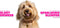 Milbemax Ontworming Tabletten Hond 5 - 75 kg 2 tabletten