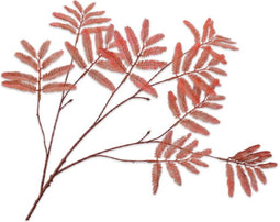 Mimosasteel l104 cm oranje