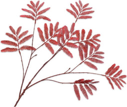 Mimosasteel l104 cm rood