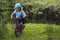 Mini Hornit Lids Fietshelm voor Kinderen met LED achterlicht - Dinosaurus (M)