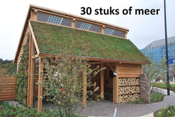 Minimaal 30 stuks afnemen, Minimaal 30 stuks! Dakgroen Sedummixmat T Compleet (incl. drainage type 11c & daktuinsubstraat) per 1.2 m2 max. 45 graden Sempergreen