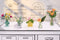 Miniverse Make It Mini Botanicals - Knutselen – DIY – Hobbypakket – Knutselpakket