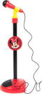 Minnie Mouse Microfoon & Gitaarset