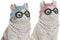 Home ESPRIT - Decoratieve figuren - Kat 13,5 X 13 X 19,5 CM - Blauw Wit Roze (2 stuks)
