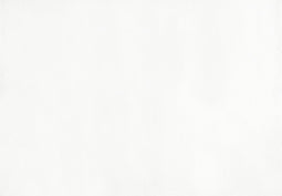 MIRPUR - Shaggy vloerkleed - Wit - 160 x 230 cm - Polyester