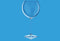 Miss Liza Gin Tonic Glas 630 ml Set van 6 Stuks