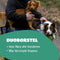 Mister Mill Duo Borstel - Slicker Borstel en Zachte Harenborstel - Hondenborstel langharig/kortharig – Kattenborstel langharig/kortharig – Hondenkam – Kattenkam – Kattenhaar verwijderaar – Hondenhaar verwijderaar – Huisdierhaar verwijderaar