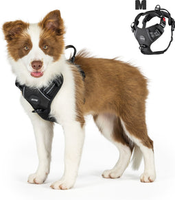 Mister Mill Hondentuigje 3x Klikgesp Maat M Zwart - Anti-Trek Tuig Hondenharnas - Y Tuig Hond Reflecterend - Gerecycled Materiaal