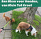 Mister Mill Reflecterende Hondenriem 2 Meter Paars - Honden Riem - Hondenlijn - Honden Lijn