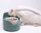 Mister Mill (Reis)Voerbak Hond met Standaard – Drinkbak Hond Standaard - Eetbak - Ergonomische Voerbak Kat - Kattenvoerbakjes - Drinkbak kat - Kat voerbak – Reis Voerbak Drinkbak