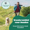 Mister Mill Salmon Vitality Oil - Zalmolie voor Hond - Zalmolie Hond - Zalmolie voor Hond Vloeibaar - 500ml