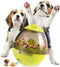 Mister Mill Voer Ei -Snackbal Hond - Interactief Speelgoed - Groen