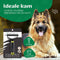 Mister Mill Voordeel Set : 2 Zijdige Ondervacht Kam plus Slicker Borstel Hond - Honden Kam - Katten Kam - Borstel Kat - Voordeel Set - Hondenborstel - Kattenborstel