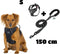 Mister Mill Voordeel Set: Hondentuig S plus Riem 150 CM - Hondentuigje 3x Klikgesp - Zwart - Reflecterend - Hondenriem - Honden Riem - Hondenlijn - Honden Lijn - Anti-Trek Tuig Hondenharnas - Y Tuig Hond