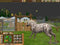 Atari Wildlife Park 2 - Add-On Paardenboerderij - PC - Simulatie en Strategie