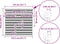 vidaXL - Zebra - rolgordijn - 135x150 - cm - stofbreedte - 130,9 - cm - lichtgrijs