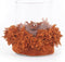 De Oh My Gee Kaarshouder - Roest Velvet - M - Set van 4