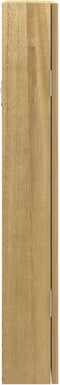 vidaXL - Sieradenkast - met - spiegel - wandgemonteerd - 37,5x10x67 - cm