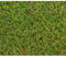 Gras - EXELGREEN - 124414 - Natura 2D - 38mm / 1 x 5 m