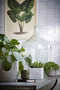 Mica Decorations Diego Vaas Fles - H56 x Ø40 cm - Glas - Set van 2