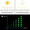 Glow In The Dark Stenen - Decoratie Steentjes - Aquarium Steentjes - Groen