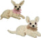 Hond polyester l25b17h16cm a2