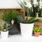Gift Republic Bloempot Decoratie - Naturisten (set van 4)